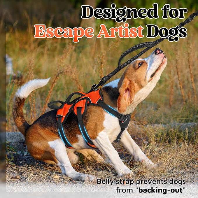 rabbitgoo Escape Proof Dog Harness for Small, No Pull with Lift Handle | No Escape, Full Soft Padded, Reflective Adjustable Vest, Leash Clip for Walking Hiking Training, Orange, Small - Image 2
