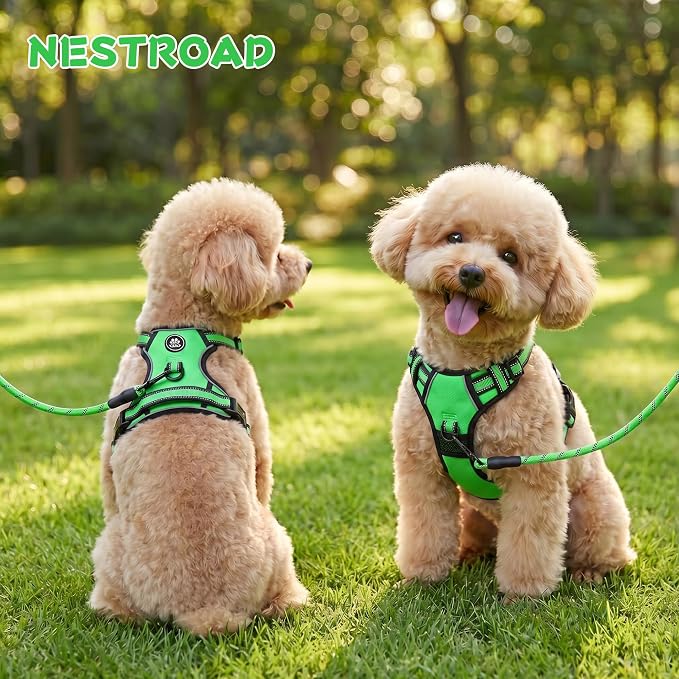 NESTROAD No Pull Dog Harness,Adjustable Oxford Dog Vest Harness with Leash,Reflective No-Choke Pet Harness with Easy Control Soft Handle for Small Dogs(Small,FluorescentGreen) - Image 2