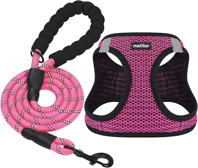 Dog Harness Step-in Breathable Puppy Cat Dog Vest Harnesses for Small Medium Dogs by matilor