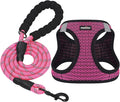 Dog Harness Step-in Breathable Puppy Cat Dog Vest Harnesses for Small Medium Dogs by matilor