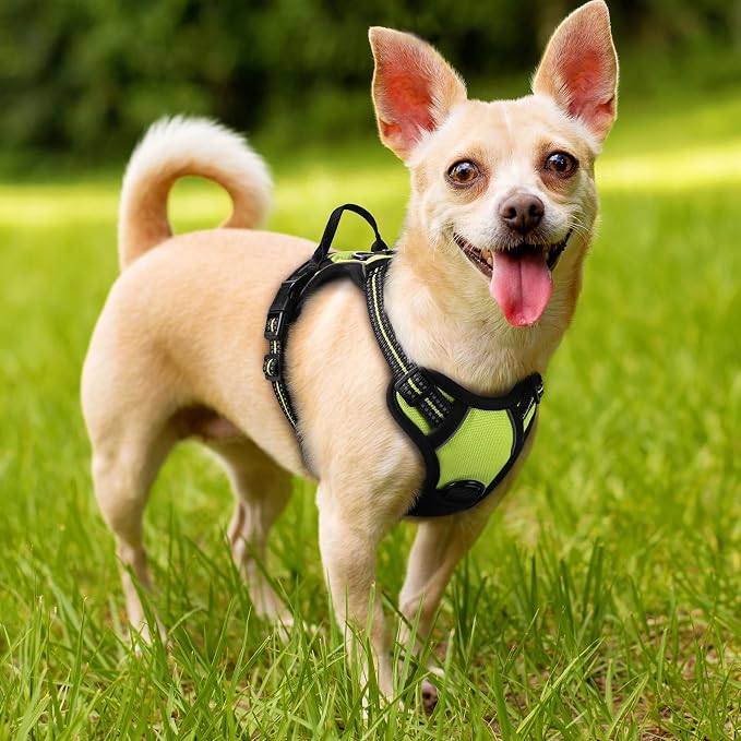 rabbitgoo Dog Harness No Pull with 2 Leash Clips, Adjustable Soft Padded, Reflective Oxford No Choke Pet Vest with Easy Control Handle for Puppy, Green, XS | No Choke with Handle, Adjustable Soft Padded, Reflective, Easy Control for Walking, Wild Lime,... - Image 8