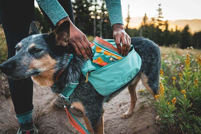 Ruffwear, Quencher Collapsible Dog Bowl, Spring Mountains, Medium | Packable Food & Water Bowl with Waterproof Lining, Water-Resistant Shell, & Reflective Trim, Lightweight, 4.2 Cups (1 L) - Image 7