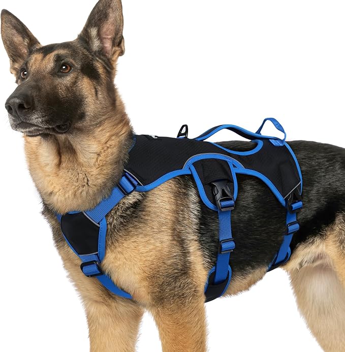rabbitgoo Escape Proof Dog Harness for X-Large, No Pull with Lift Handle | No Escape, Full Soft Padded, Reflective Adjustable Vest, Leash Clip for Walking Hiking Training, Blue & Black, X-Large by rabbitgoo