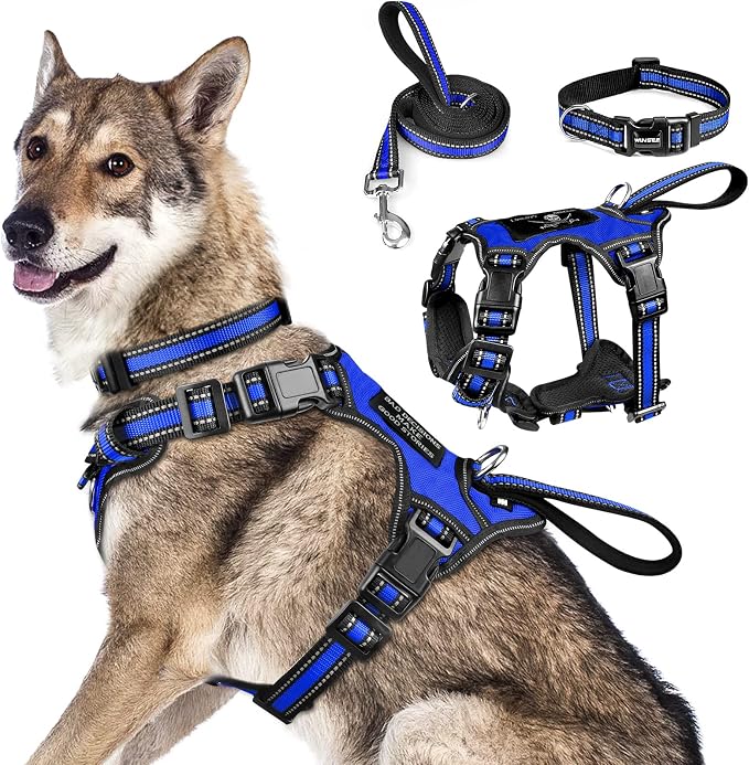 All-in-One Reflective Dog Harness, Collar & Leash Set, No Pull with Adjustable Buckles, X-Large, Dark Blue by WINSEE