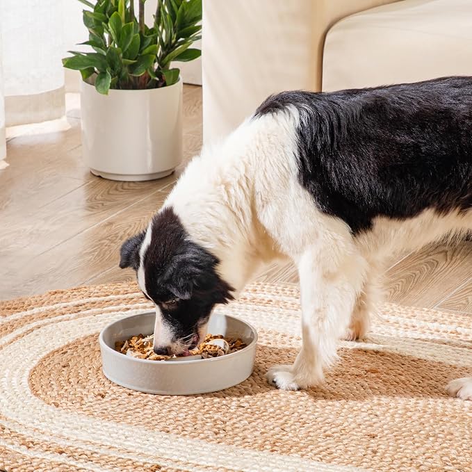 vancasso Slow Feeder Dog Bowls, 3 Cups Ceramic Puzzle Dish for Large Breeds | Maze Dog Food Bowl for Fast Eaters, Slow Feeding Design for Large Dogs, Promotes Healthy Eating Habits, Grayish Cyan - Image 5