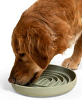 Should We Go? Slow Feeder Dog Bowls - Large Size Silicone Slow Eating Dog Bowl for Puppies & Dogs with Suction Cup -Dishwasher-Safe, Lick Mat Design, Reduces Gulping,for All Breeds,9.5”x1.5”- Sage by ShouldWeGo