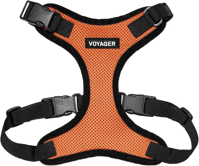 Voyager Step-in Lock Dog Harness - Orange/Black Trim, X-Small | 13 - 16" in Chest, Adjustable, Breathable Air Mesh, Lightweight for Daily Walks, Strong Clips, Heavy Duty D-Ring by BestPetSuppliesLLC