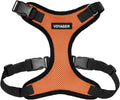 Voyager Step-in Lock Dog Harness - Orange/Black Trim, X-Small | 13 - 16" in Chest, Adjustable, Breathable Air Mesh, Lightweight for Daily Walks, Strong Clips, Heavy Duty D-Ring by BestPetSuppliesLLC