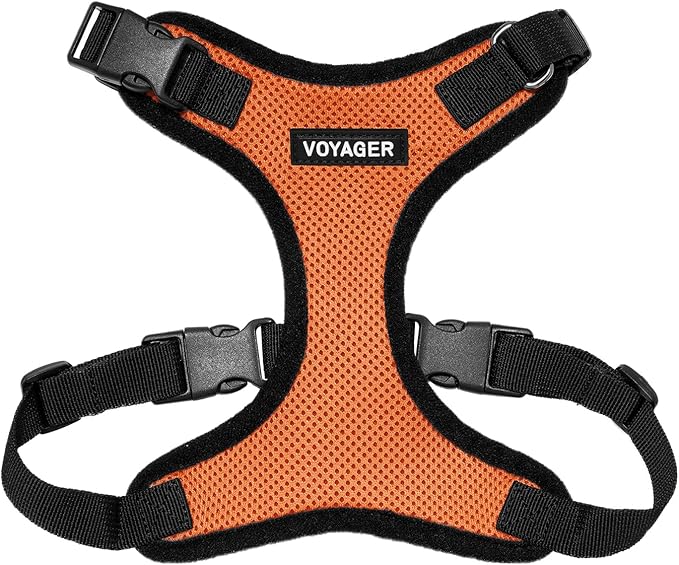 Voyager Step-in Lock Dog Harness - Orange/Black Trim, Large | 20 - 25" in Chest, Adjustable, Breathable Air Mesh, Lightweight for Daily Walks, Strong Clips, Heavy Duty D-Ring by BestPetSuppliesLLC