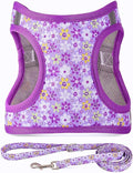 Step in Dog Harness Leash Set- All Weather Reflective No-Pull Floral Pattern Padded Mesh Vest Harness for Cats Puppy Extra-Small Small Medium Large Dogs - Purple Flower - L by MOONPET