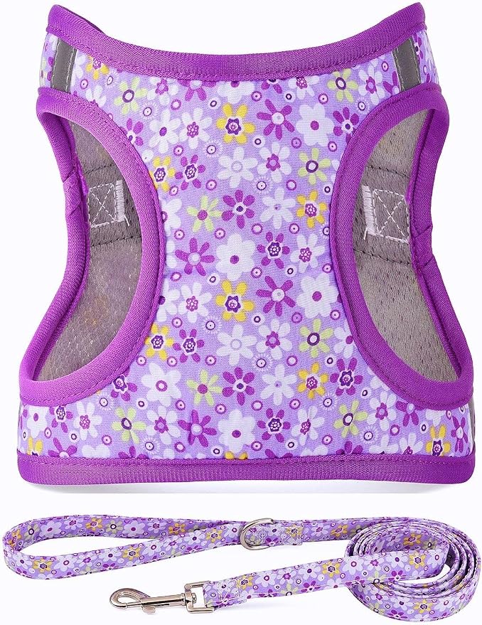 Step in Dog Harness Leash Set- All Weather Reflective No-Pull Floral Pattern Padded Mesh Vest Harness for Cats Puppy Extra-Small Small Medium Large Dogs - Purple Flower - L by MOONPET