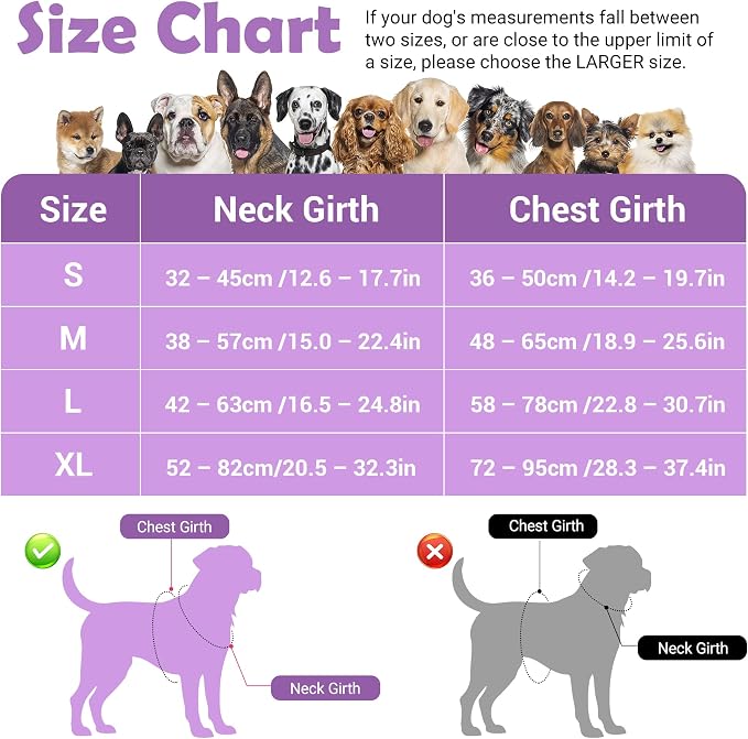 Dog Harness No Pull, Adjustable Pet Vest Harness, Super Soft Material with Vertical Handle Easy Control, Reflective Night Walking, 2 Leash Clips for Medium Sized Dogs, Purple, M - Image 2