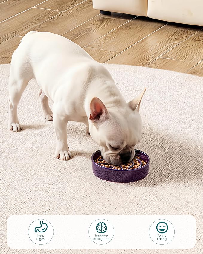 vancasso Slow Feeder Dog Bowl, 0.6 Cup Ceramic Slow Feeding Food Dish for Small Breed, Puzzle Dog Food Bowl for Fast Eater, Dark Purple - Image 7
