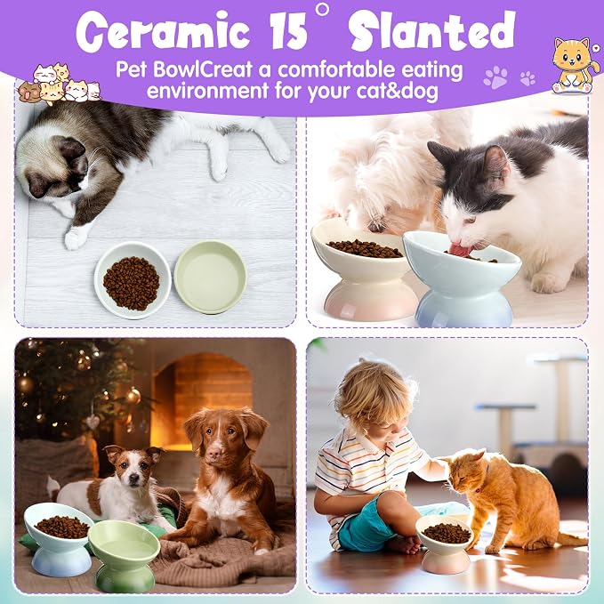 Hushee 4 Pcs Ceramic Raised Cat Food Bowls Elevated Tilted Dish Anti Vomiting Food or Water Bowls Pet Supplies - Image 5
