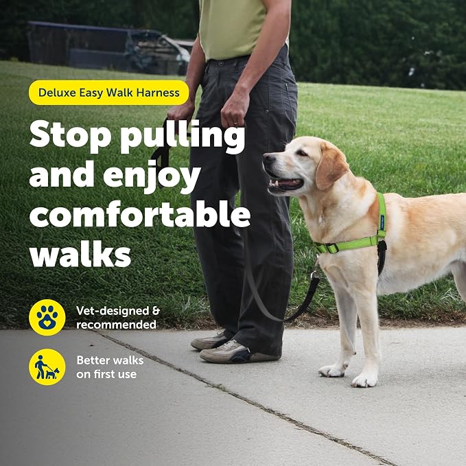 PetSafe Deluxe Easy Walk No Pull Dog Harness, Apple Green, Medium/Large | Padded Neoprene Straps, Reflective Strips for Night Safety, Martingale Loop Curbs Pulling from the Chest, Not the Throat - Image 3