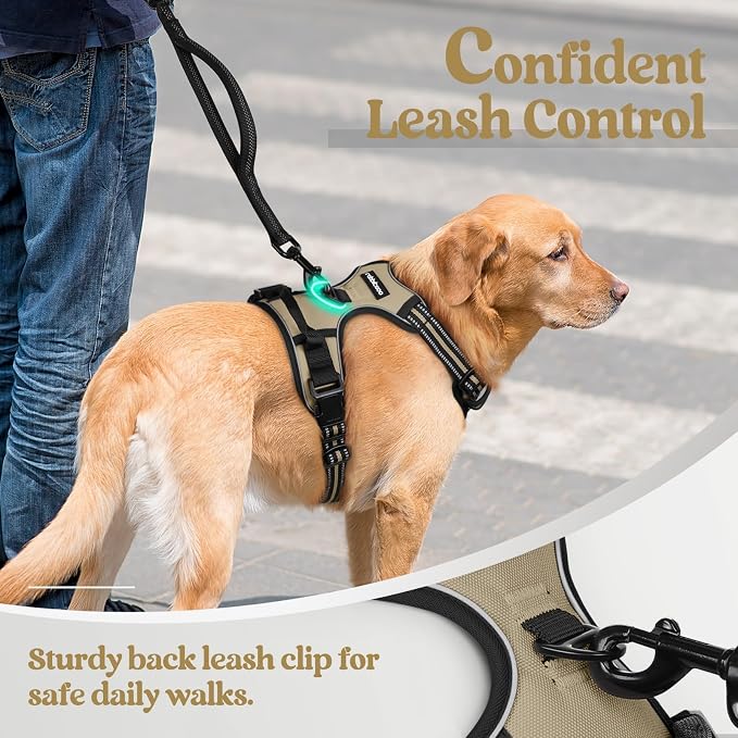 rabbitgoo Dog Harness, No Pull Medium Sized with 2 Leash Clips, Pet Vest | No Choke with Handle, Adjustable Soft Padded, Reflective, Easy Control for Walking, Beige, Medium - Image 6