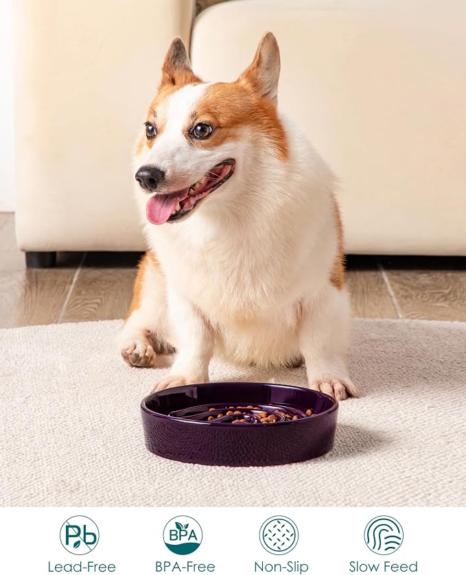 vancasso Slow Feeder Dog Bowl, 1.5 Cup Ceramic Slow Feeding Food Dish for Small and Medium Breed, Puzzle Dog Food Bowl for Fast Eater, Dark Purple - Image 5