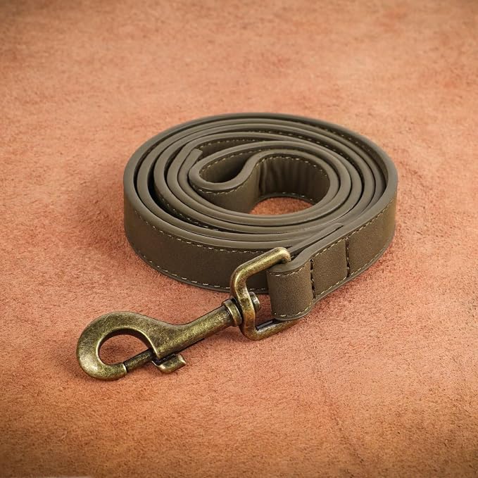 Didog PU Leather Dog Leash for Small Dogs, 5/8in x 4ft, Dark Green | Soft Grip Full Control, Easy Clean, Metal D-ring for Poop Bag Holder, Tangle-Free 360° Swivel Clasp, for Walking & Training - Image 8