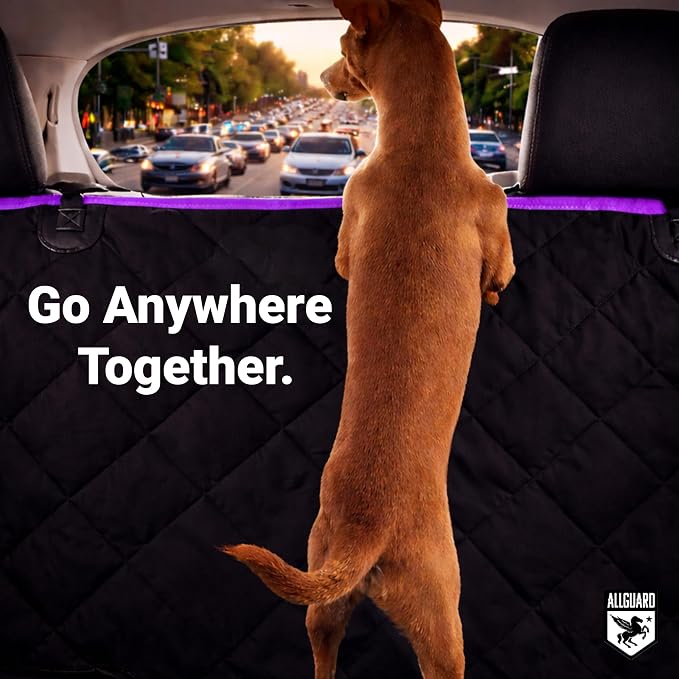 Dog Car Seat Cover for Back Seat, Waterproof, Scratchproof, Nonslip, Dog Hammock for Car, Safety Harness Included, Seat Covers for Pet Dogs, Truck & SUV Size (Black/Purple) - Image 6