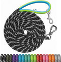 Long Leash for Dog Training 10FT/15FT/20FT/30FT/40FT/50FT/100FT Reflective With 2 Hooks, Heavy Duty Lead for Large Medium Small Dogs Outside Walking Camping Yard, Black 100FT by NTR