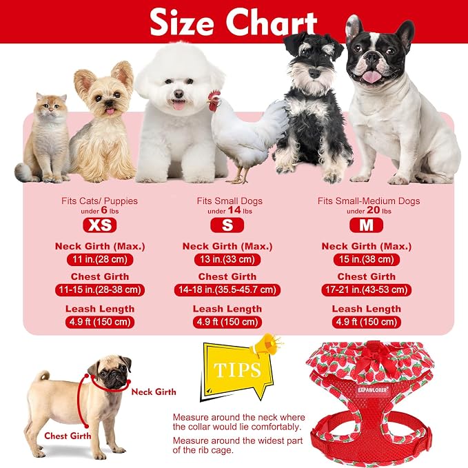 EXPAWLORER Step-in Dog Harness Small Sized and Leash Set | Cute Small Dog Harness No Pull Girl, Breathable Soft Mesh Padded, Adjustable Light Puppy Vest for Dogs Cats, Strawberry S - Image 2