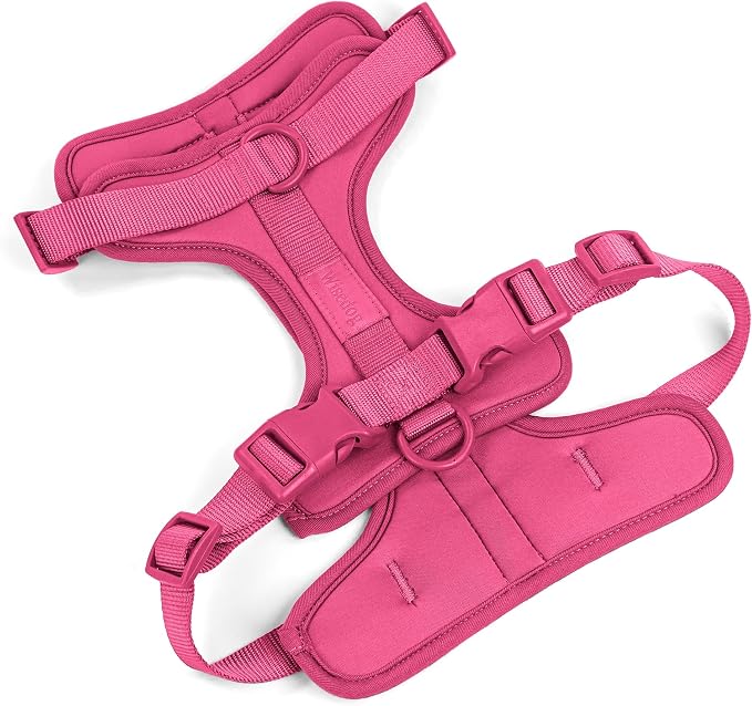 Wisedog Lightweight No Pull Dog Harness, Peacock Pink, X-Small | Air Mesh, 3 Clips, Adjustable, No Choke Design, Ideal for Walking Training by WisedogPetSupplies