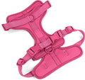 Wisedog Lightweight No Pull Dog Harness, Peacock Pink, X-Small | Air Mesh, 3 Clips, Adjustable, No Choke Design, Ideal for Walking Training by WisedogPetSupplies