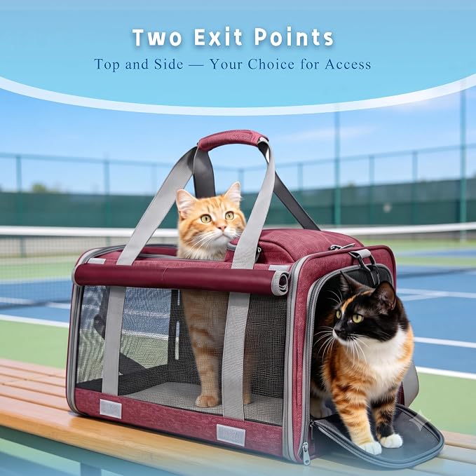 Pet Carrier for Medium-Small Cats, Collapsible Cat Carrier and Soft-Sided Pet Carrier for Medium Big Cats and Puppy Up to 17lbs, 2-Way Entry with Privacy Cover, Travel Bag L18.9”X11.42”X11.42” - Image 4