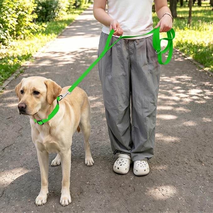 Waterproof Dog Leash with Double Handle, 6 FT Durable Odor-Proof Dog Leashes with Strong Aviation Aluminum Hooks Fits Small Medium or Large Dogs - Image 5