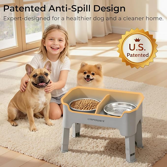 URPOWER Mess Proof Elevated Dog Bowls, Splash Guard Raised Bowl Stand | 4 Adjustable Heights, 2 Stainless Steel Bowls, Food & Water Separation, Non-Slip Base, Foldable Design for Small Dogs - Image 2