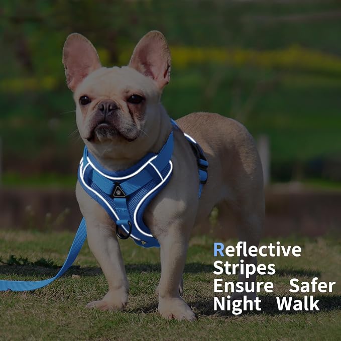 Dog Harness Medium Sized Dog Pet Vest with Leash Set Blue XL | Adjustable Puppy Vest Harness, No Choke No Pull, Soft Padded, Step-in Dog Vest, Reflective Cat Harness, Breathable Air Mesh - Image 5