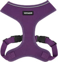 Best Pet Supplies Voyager Aerolite Over the Head Dog Harness, No Pull Breathable Air Mesh Vest, Quick Dry with Reflective Stitching, Adjustable Escape Resistant Harness - Purple, X-Large by BestPetSuppliesLLC