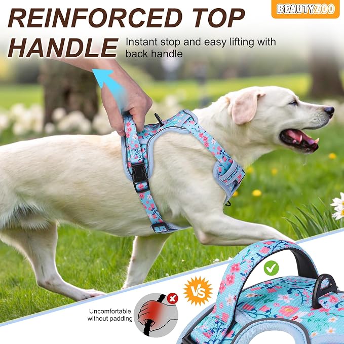 BEAUTYZOO No Pull Dog Harness and Leash Set, Step in Puppy Pet Vest, XLarge | Reflective with Handle, Adjustable Soft Padded, Easy Control for Walking, No Choke Escape Proof, Lightweight, Blue - Image 3