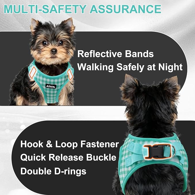 AIITLE Step in Small Dog Harness and Leash Set, Pet Vest, Turquoise XS | Breathable Mesh, Adjustable Fit, No-Pull Reflective Design, Escape Proof, for Small-Medium Dogs, Outdoor Walking, Running - Image 2