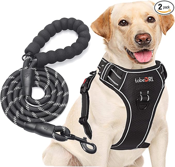 tobeDRI No Pull Dog Harness Adjustable Reflective Oxford Easy Control Medium Large Dog Harness with A Free Heavy Duty 5ft Dog Leash, Black, XL by tobeDRI