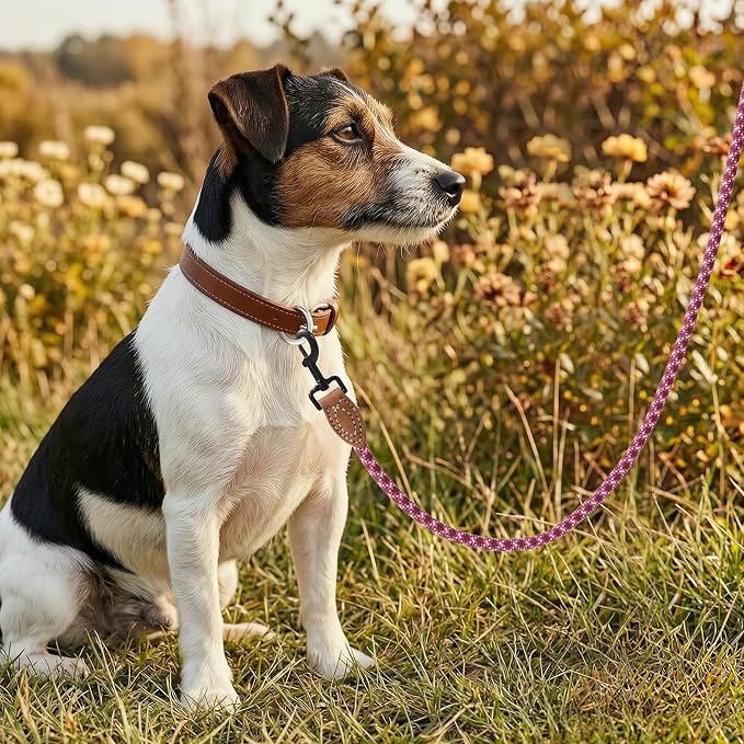 Mile High Life Dog Leash with Genuine Leather-Wrapped Ends, 4/5/6FT | Tangle-Free 360° Swivel Clasp Heavy Duty Rope Leash | Small Medium Large Dogs | Daily Walking (Pink White, 72 Inch, 1/2") - Image 2