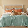 Bedsure Waterproof Blanket for Bed Soft Sherpa Fleece Throw,Queen 90x86 | Plush Cozy Calming Reversible Dog Blankets for Large Senior Dogs,Warm Bed Couch Cover,Pet Furniture Protector,Light Green by Unknown