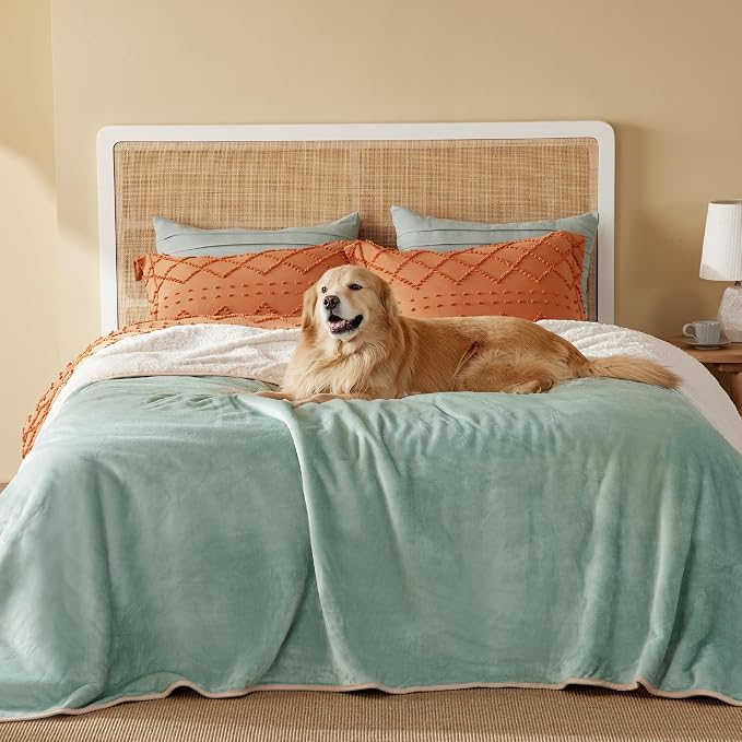 Bedsure Waterproof Blanket for Bed Soft Sherpa Fleece Throw,Queen 90x86 | Plush Cozy Calming Reversible Dog Blankets for Large Senior Dogs,Warm Bed Couch Cover,Pet Furniture Protector,Light Green by Unknown