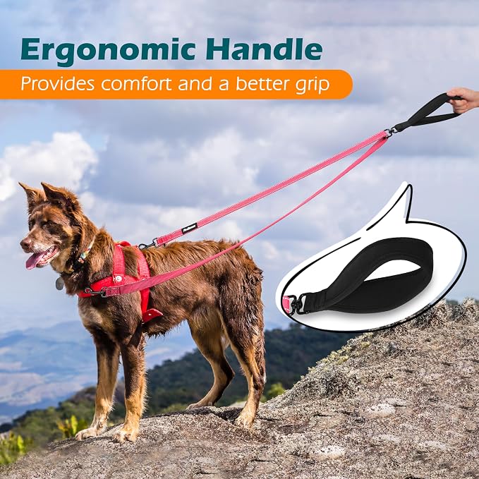 PetBonus Two Point Control Dog Leash, No Tangle Training Walking Leashes | Soft Padded Handle, Reflective, Works with No Pull Harnesses, Converts to Single Lead for Medium Large Dogs, Pink - Image 5