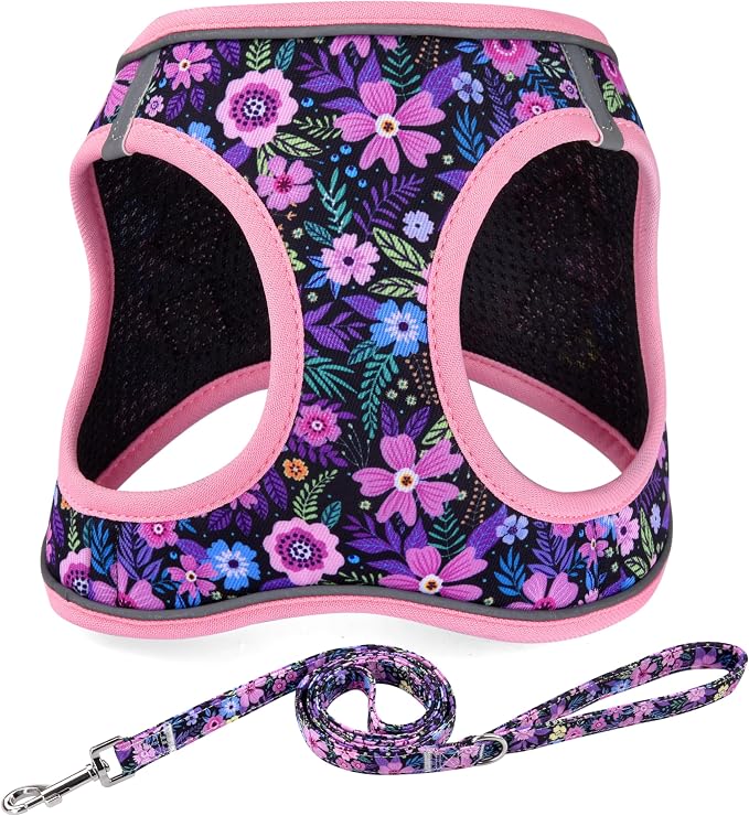 Mihqy Step in Dog Harness and Leash Set, Breathable Mesh, Pink Floral,S | Reflective, Adjustable No Pull Harnesses for Small Dogs Puppy and Cats, Lightweight Vest Harnesses, Fashion Floral Design by Mihqy