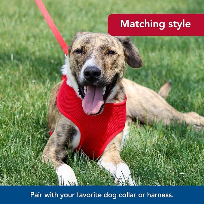 Coastal Pet Single-Ply Dog Leash - Sturdy Pet Leash - Comfortable & Stylish - Resists Fraying - Vibrant & Fade-Resistant Color - Pink Bright, 5/8" x 6' - Image 6