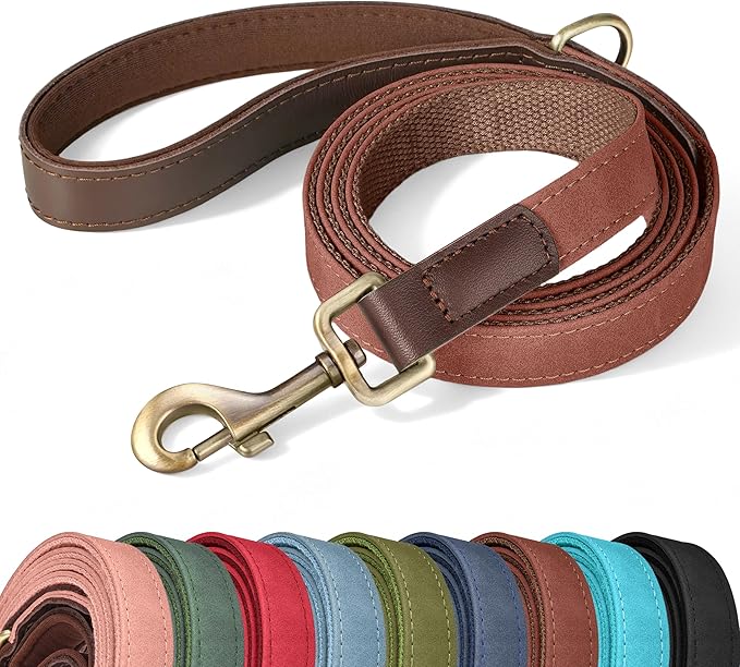 PU Leather Dog Leash for Medium Dogs, 5ft Soft Padded Handle, Brown | Comfortable Grip for Daily Walking Training, Full Control, Metal D-ring, Tangle-Free 360° Swivel Clasp, Easy to Clean, 3/4in by Didog