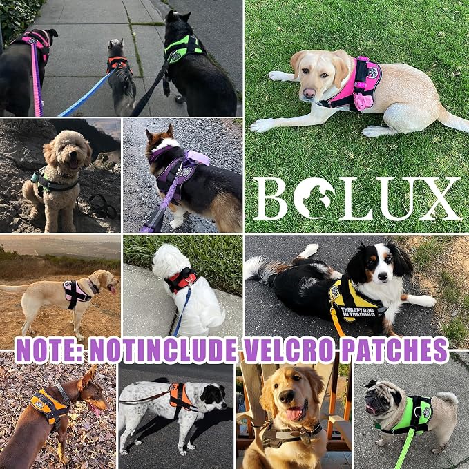 Dog Harness, No-Pull Reflective Dog Vest, Breathable Adjustable Pet Harness with Handle for Outdoor Walking - No More Pulling, Tugging or Choking (Lavender, Medium (Pack of 1)) - Image 7