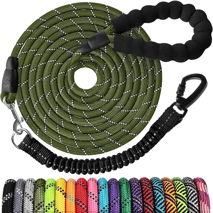 jenico Long Dog Leash 10FT: Heavy Duty Nylon Rope Leashes for Dogs Training with Reflective Threads Bungee and Padded Handle - Dog Lead for Large Small Medium Dogs Outside Walking Hiking by jenico
