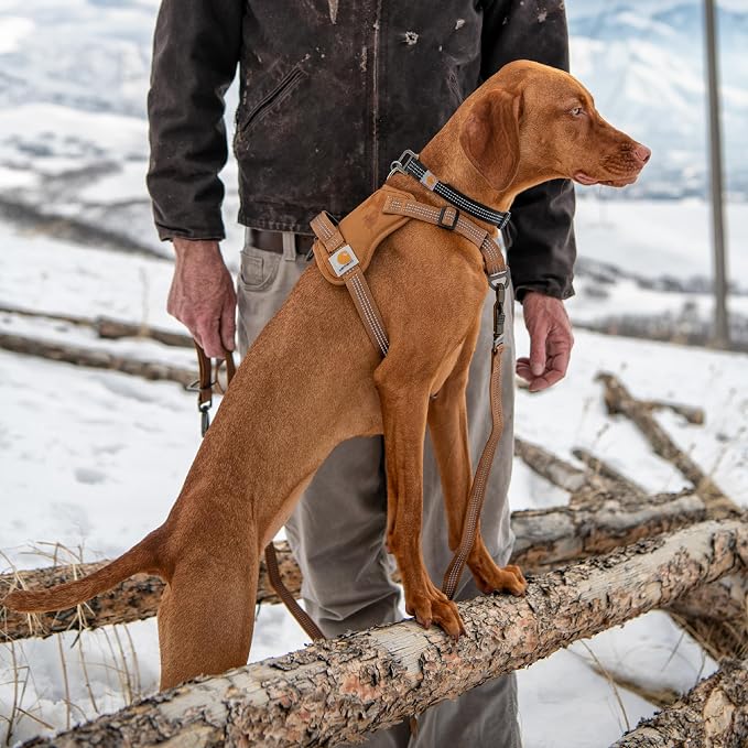 Carhartt Nylon Duck No Pull Dog Harness Port XL | Fully Adjustable Dog Harness with Quick Control Handle and Reflective Accents - Image 5
