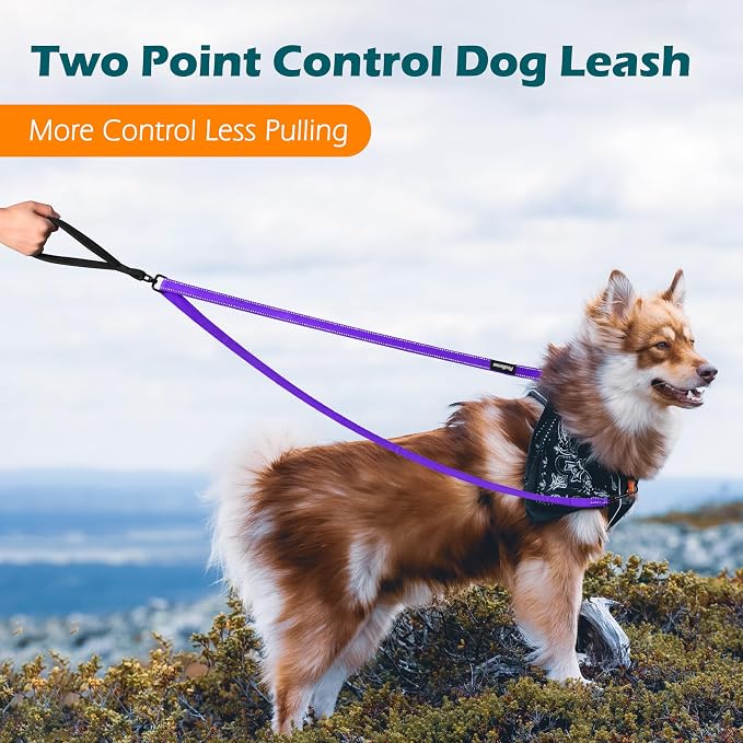 PetBonus Two Point Control Dog Leash, No Tangle Training Walking Leashes | Soft Padded Handle, Reflective, Works with No Pull Harnesses, Converts to Single Lead for Medium Large Dogs, Purple - Image 2