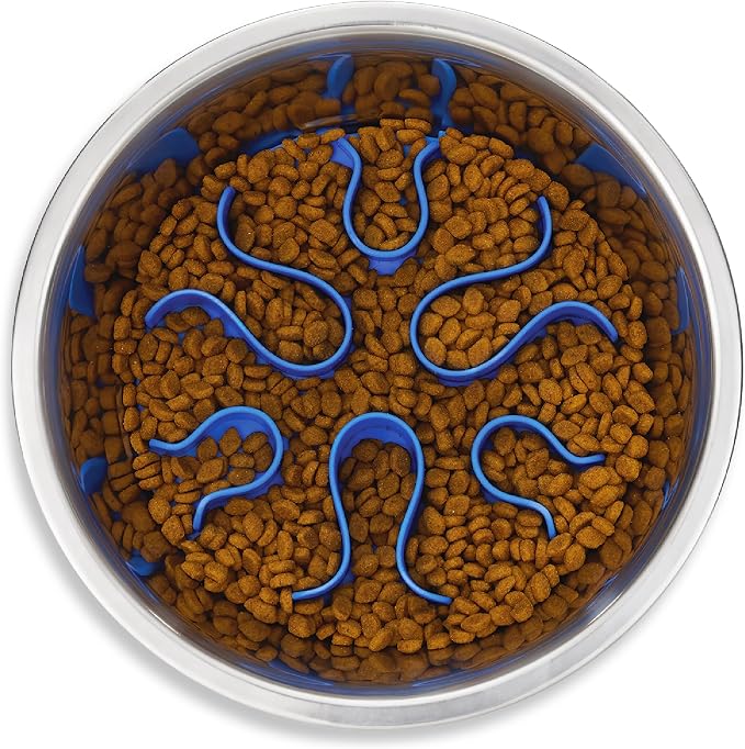 Outward Hound Fun Feeder Stainless Steel Slo Bowl for Dogs, Medium, 8.3" | Slows Fast Eaters, Can Aid Digestion, Holds 2 Cups Dry or Wet Food, Removable Maze, Non-Slip, Fits Raised Feeding Stations by OutwardHound