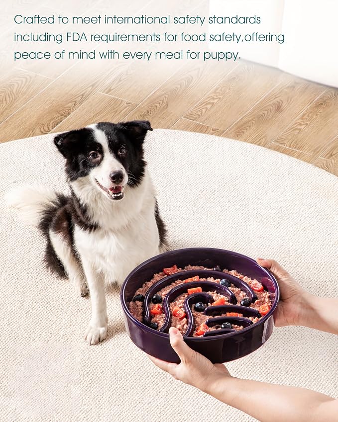 vancasso Slow Feeder Dog Bowl, 3 Cup Ceramic Slow Feeding Food Dish for Large Breed, Puzzle Dog Food Bowl for Fast Eater, Dark Purple - Image 6