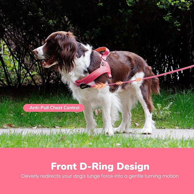 No Pull Dog Harness for Small Dogs, Breathable Mesh Padded, Pink, XS | Quick Fit, Easy On and Off, Lightweight, Reflective Vest Harness for Night Safty, Easy for Walking and Training, Chest 15-18" - Image 5