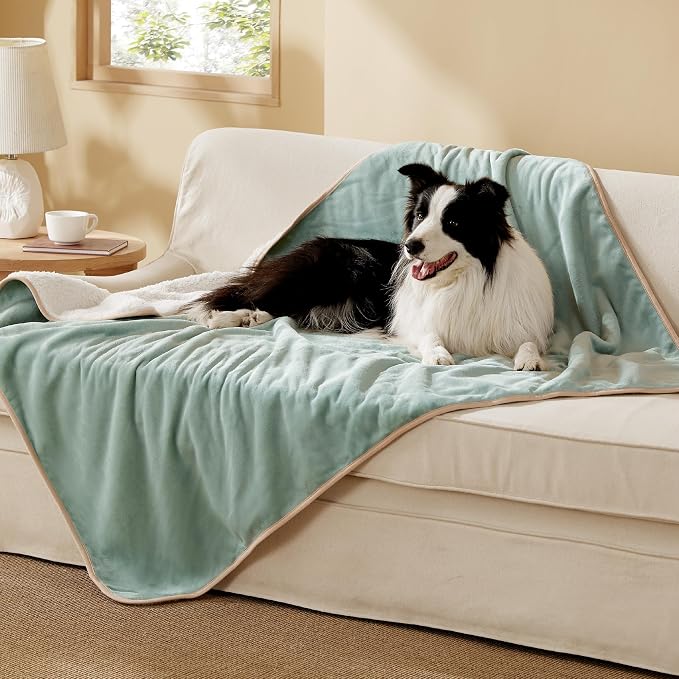 Bedsure Waterproof Dog Blankets for Large Dogs Sherpa Fleece Throw, 40X50 | Washable Soft Plush Pet Cat Blanket for Couch Cover, Reversible Cozy Calming Sofa Protector Warm for Senior Dogs,Light Green by Unknown